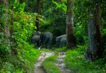 বিএফআইডিসি-তে চাকরীর আবেদনের সময় আর মাত্র ২ দিন bfidc job 2024 featured image